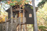 a Venice Treehouse