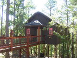 I - New York Loft Treehouse I