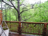 II - Santa Fe Sunset Treehouse II