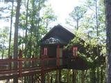 III - New York Loft Treehouse III