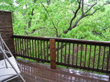 III - New York Loft Treehouse III