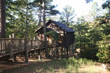 The Ultimate Venice Treehouse