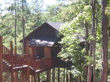 Ultimate Santa Fe Treehouse