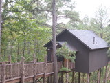 Ultimate Venice Treehouse