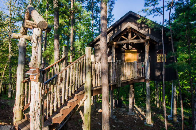 Venice Treehouse